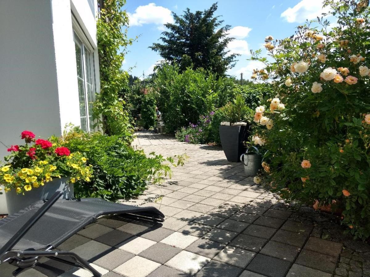 Haus Paradies Superior Fewo'S Loft, Terrasse, Private Sauna, Aktiv Card, 圣恩吉玛 外观 照片